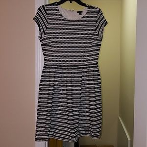 Ann Taylor  Black and White Dress